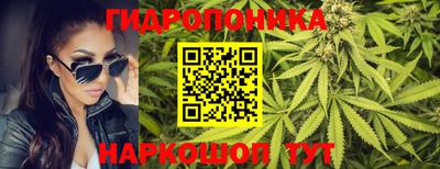 стаф Тверь