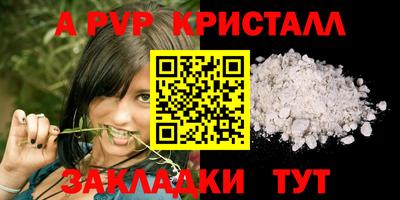 стаф Тверь