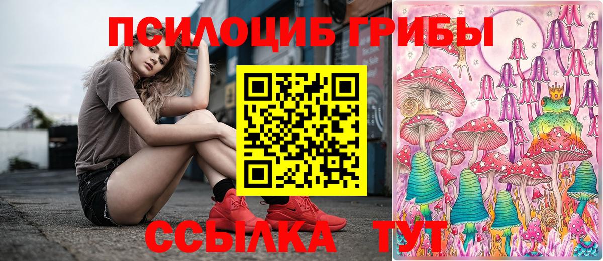 Сегежа  купить  цена  Вход с VPN  Псилоцибиновые грибы прущие грибы  Псилоцибиновые грибы Magic Shrooms 